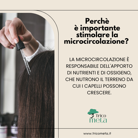 L'importanza della microcircolazione
